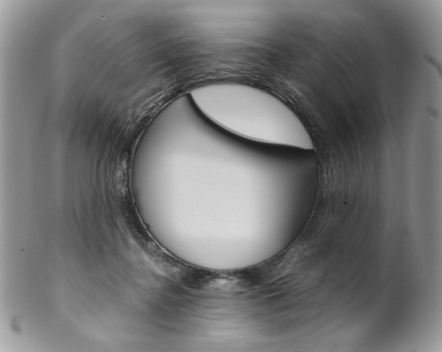 X0000102840364200808181030