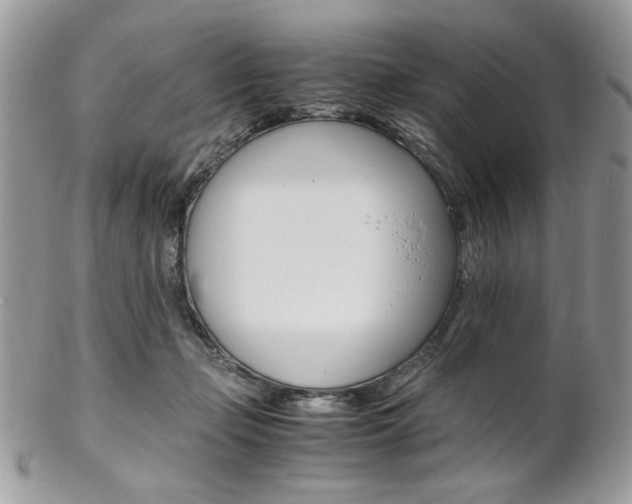 X0000102840365200808181030