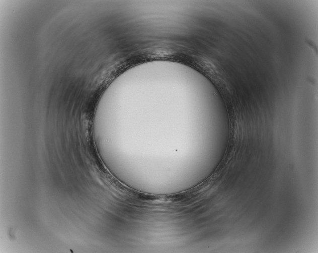 X0000102840366200808181030