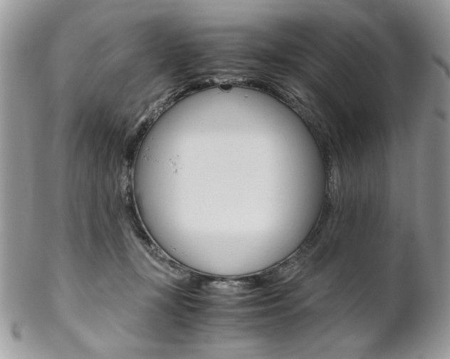 X0000102840367200808181030