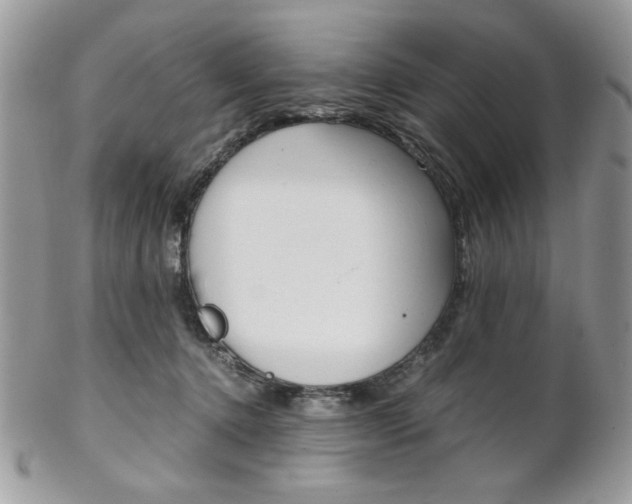 X0000102840368200808181030