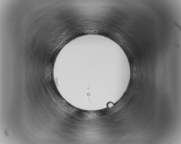 X0000102840370200808181030