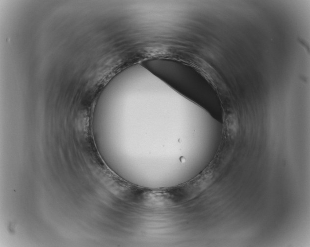 X0000102840372200808181030