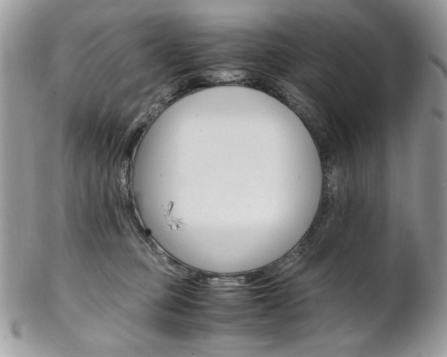 X0000102840373200808181030