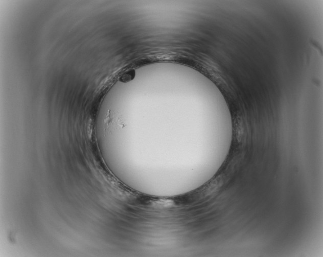 X0000102840374200808181030