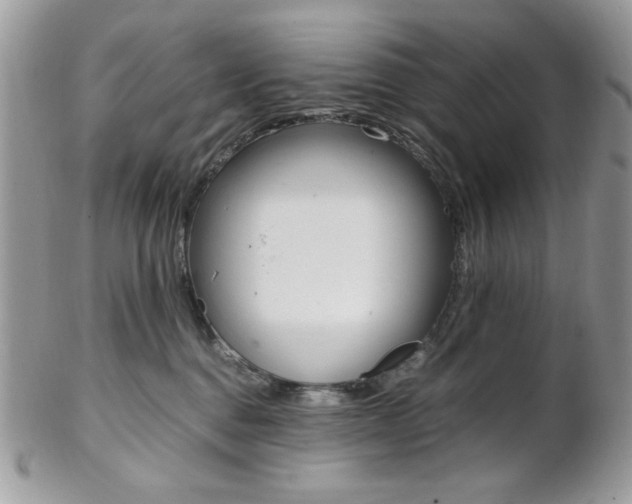 X0000102840376200808181030