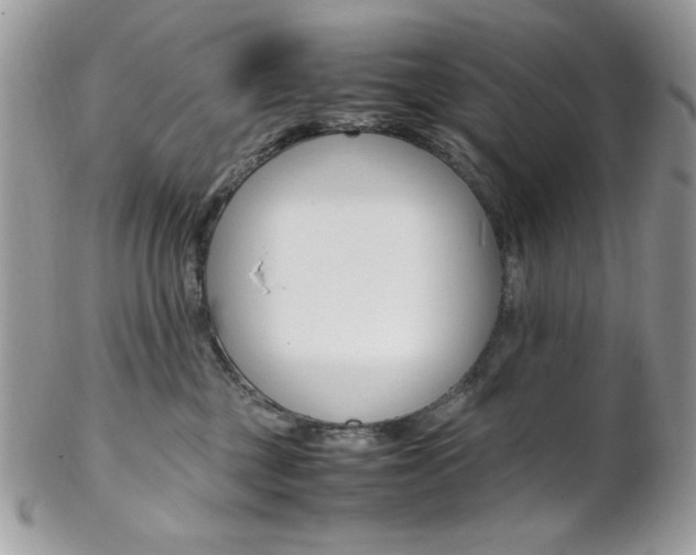 X0000102840377200808181030