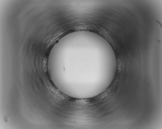 X0000102840378200808181030