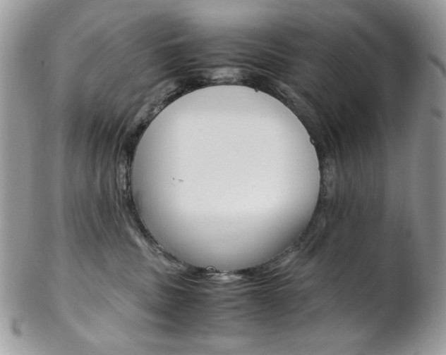 X0000102840379200808181030