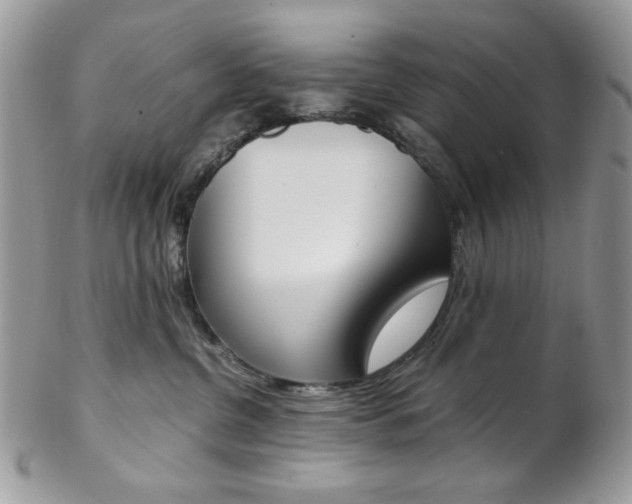 X0000102840380200808181030