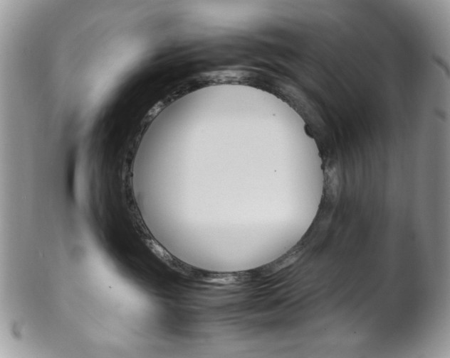 X0000102840381200808181030