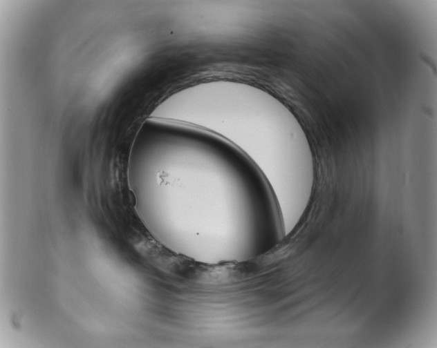 X0000102840382200808181030