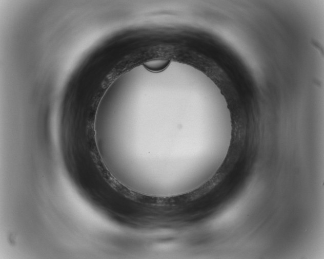 X0000102840383200808181030