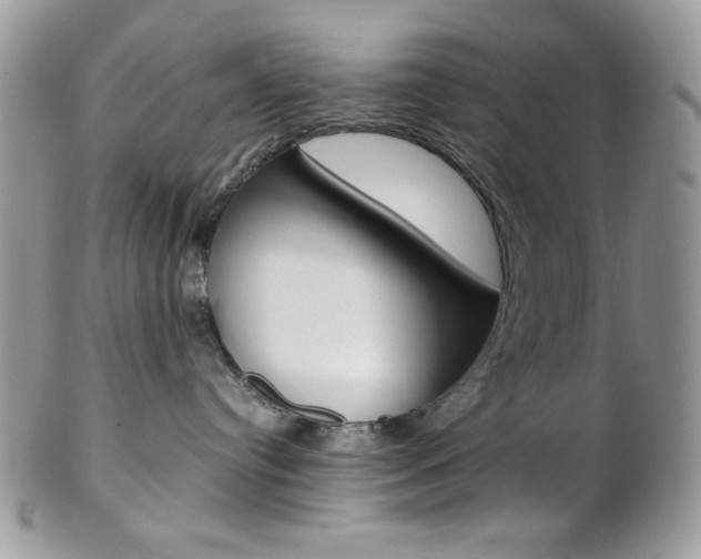 X0000102840384200808181030