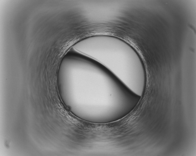 X0000102840385200808181030