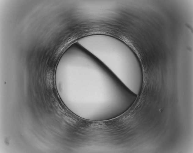 X0000102840386200808181030