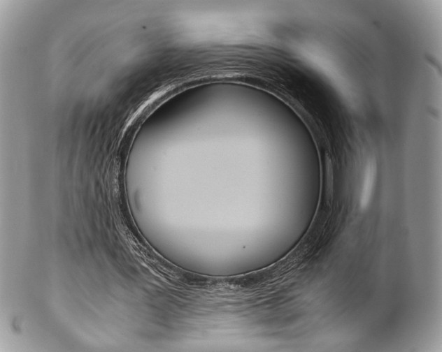 X0000102840387200808181030
