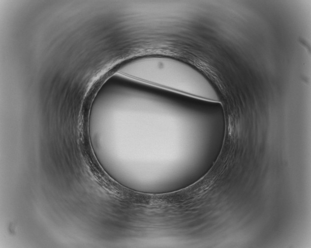 X0000102840388200808181030