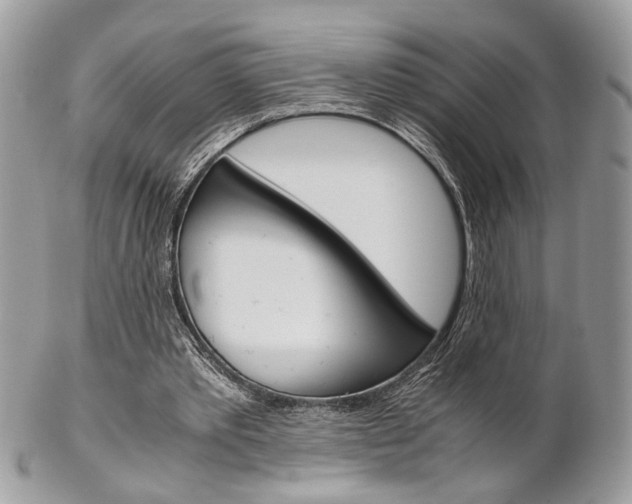 X0000102840389200808181030