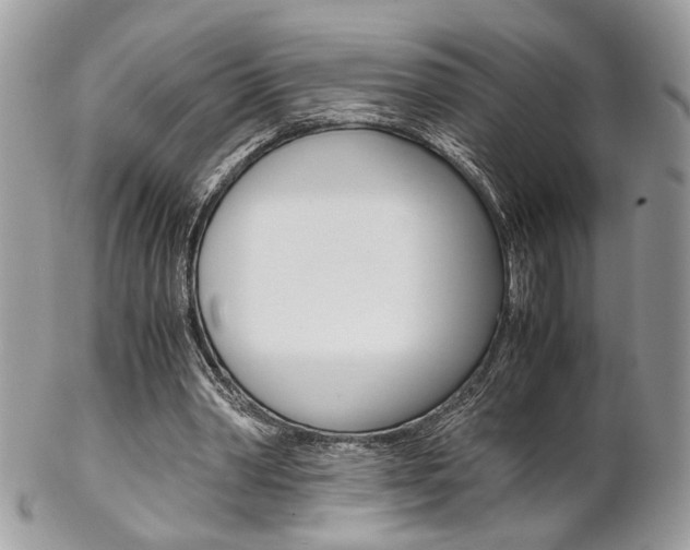 X0000102840390200808181030