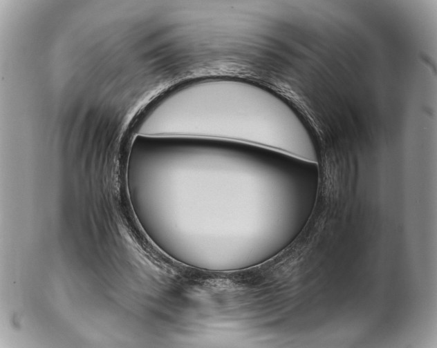 X0000102840392200808181030