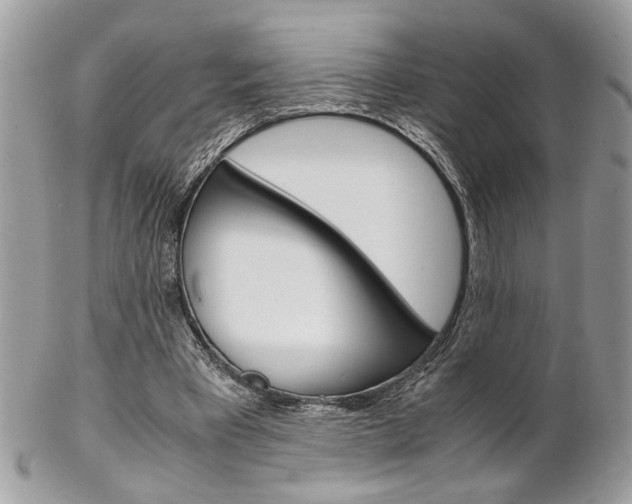 X0000102840393200808181030