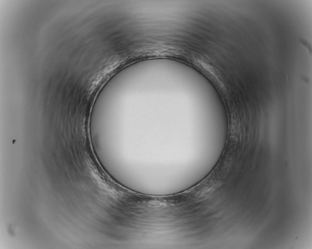 X0000102840394200808181029