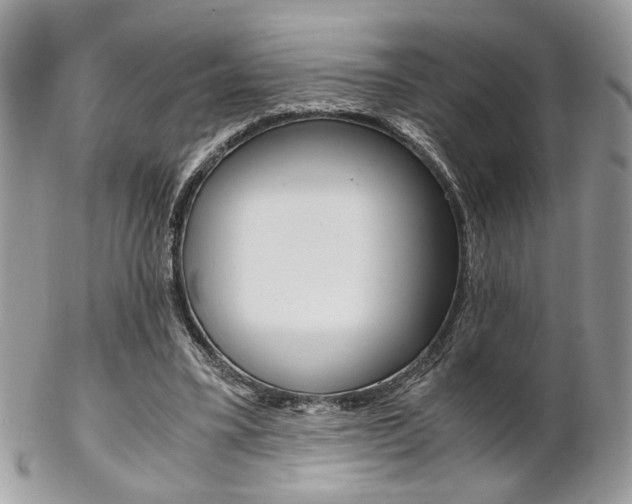 X0000102840395200808181029