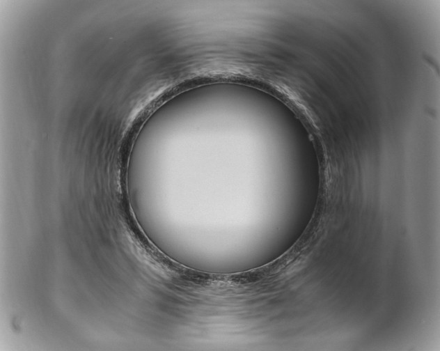 X0000102840399200808181029