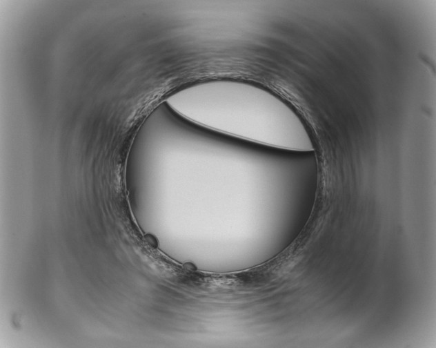 X0000102840401200808181029