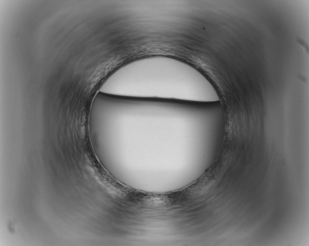 X0000102840402200808181029