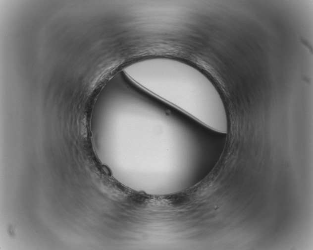 X0000102840403200808181029