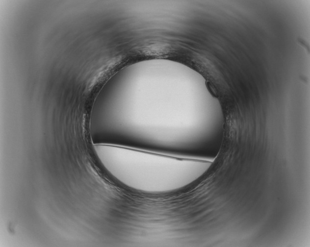 X0000102840404200808181029