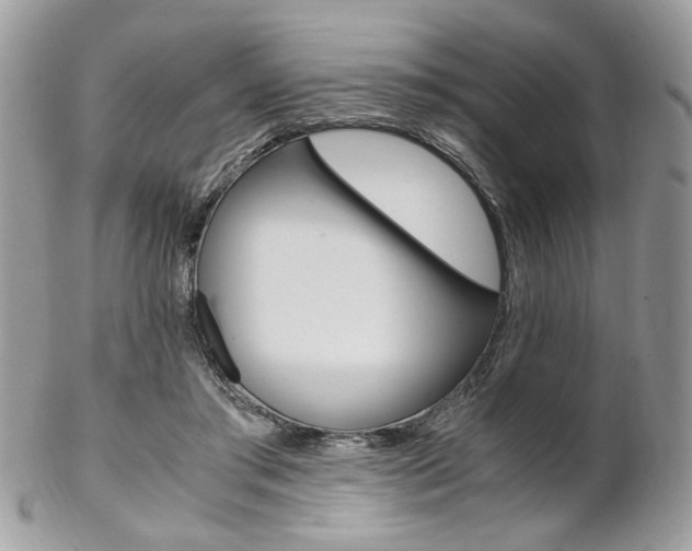 X0000102840405200808181029