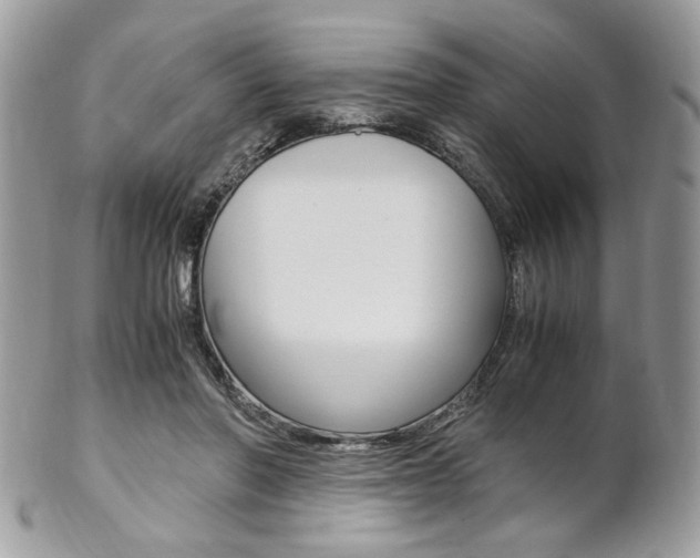 X0000102840406200808181029