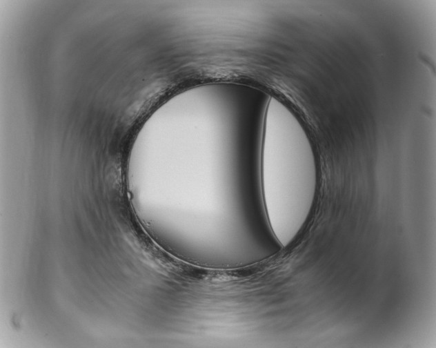 X0000102840407200808181029