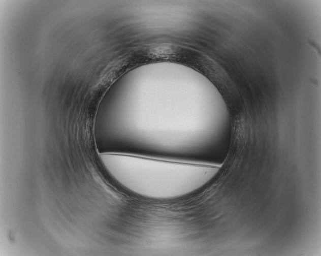 X0000102840408200808181029