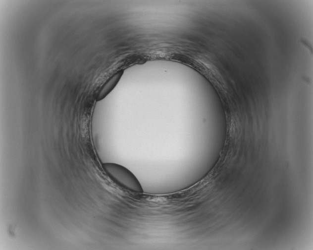 X0000102840409200808181029