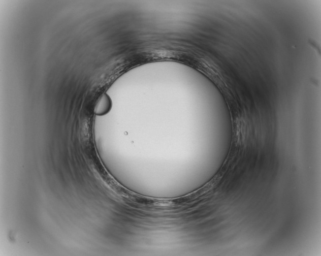 X0000102840410200808181029