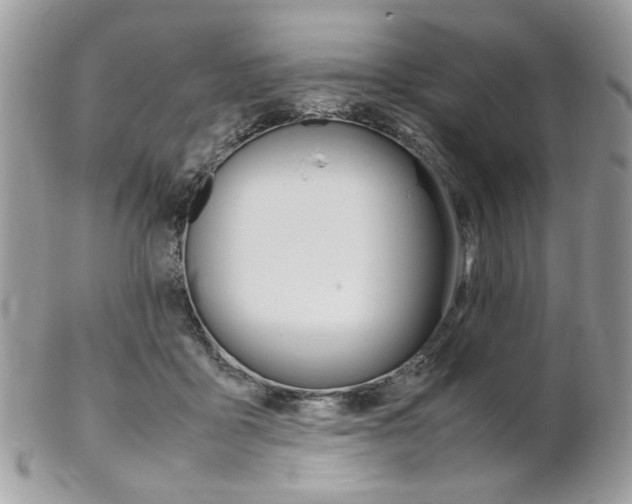 X0000102840411200808181029