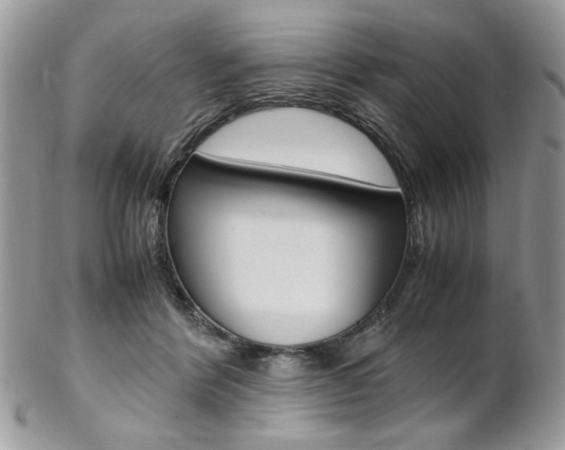 X0000102840412200808181029