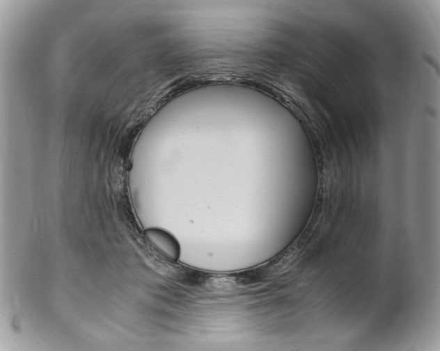 X0000102840413200808181029