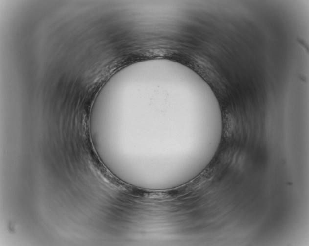 X0000102840414200808181029