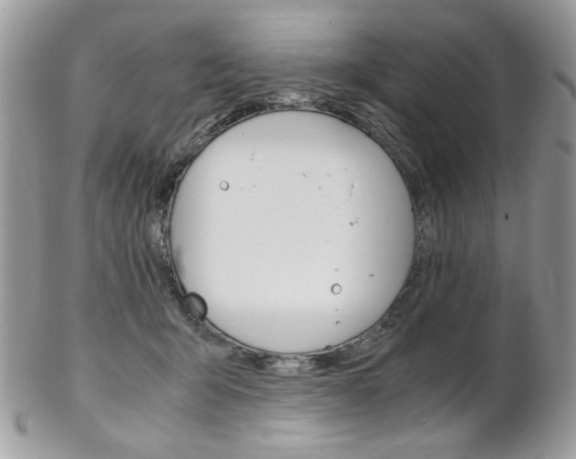 X0000102840415200808181029