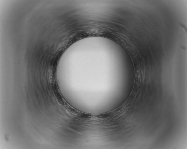 X0000102840416200808181029
