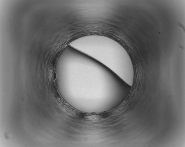 X0000102840417200808181029