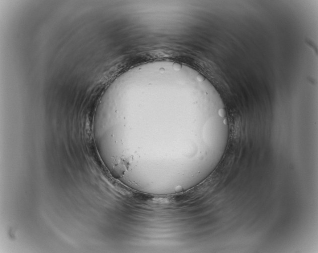 X0000102840418200808181029