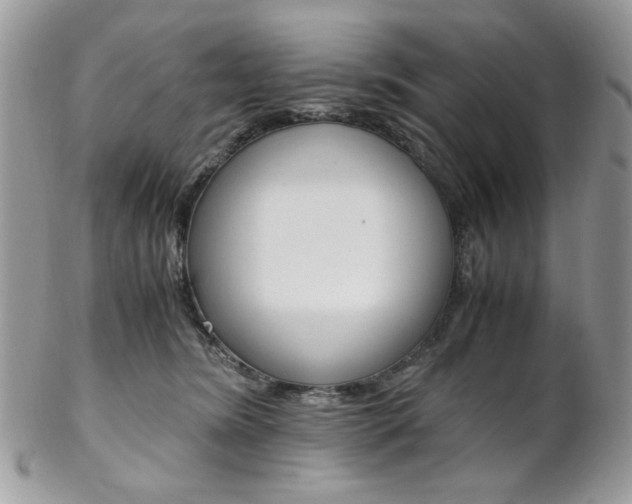 X0000102840420200808181029