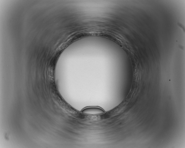 X0000102840421200808181029