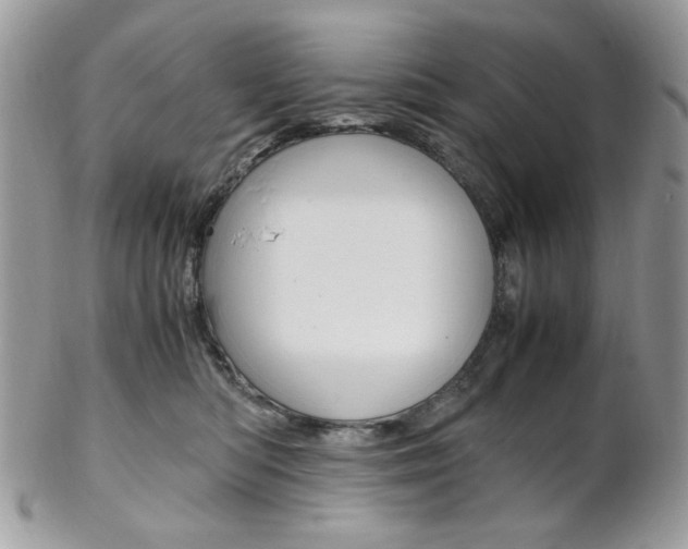 X0000102840422200808181029